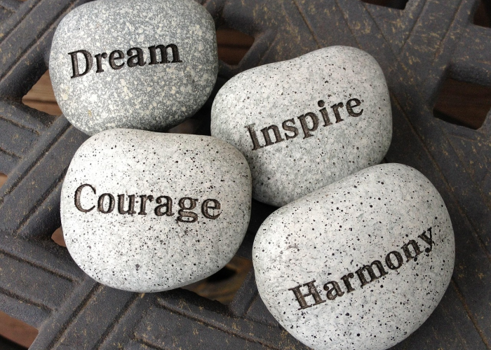 广东省新增7例本土确诊,广东新增本土确诊7例在哪