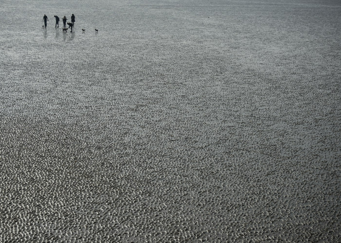 美国新冠肺炎超726万例,美国新冠肺炎超926万例