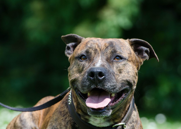 香港周大福›香港周大福黄金价钱