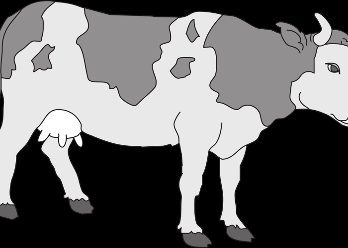 快递啥时候停运2024›快递啥时候停运2024年