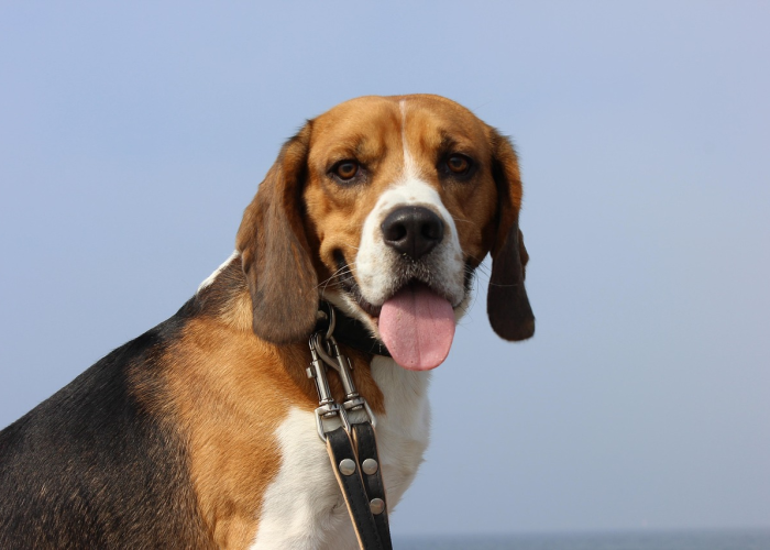 浙江昨日新增确诊病例38例 → 昨天024时 浙江新增确诊病例109例 ⛅