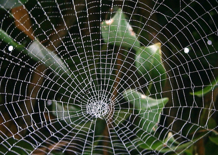 3月感染者超5.6万例,3月确诊