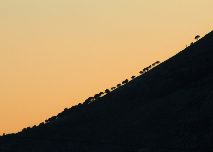 天津新增39例本土阳性,天津新增一例本土确诊