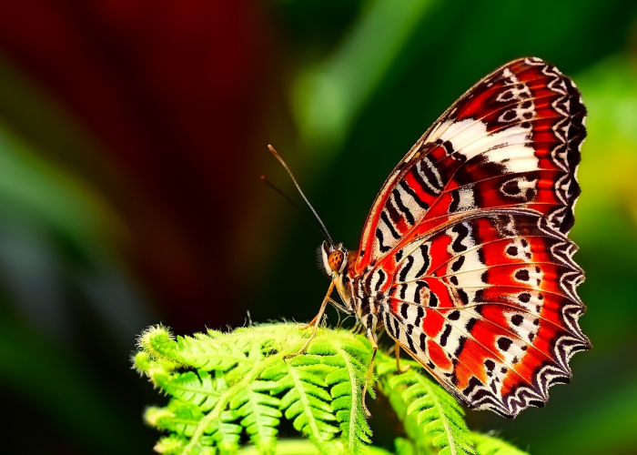 现代汽车费用多少(现代汽车费用) 现代汽车费用多少(现代汽车费用)