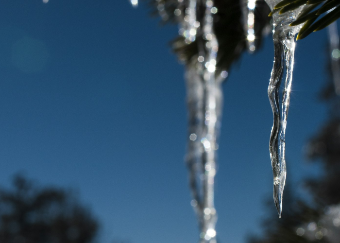 秒懂经验:网上网站注单检测，协助追回
