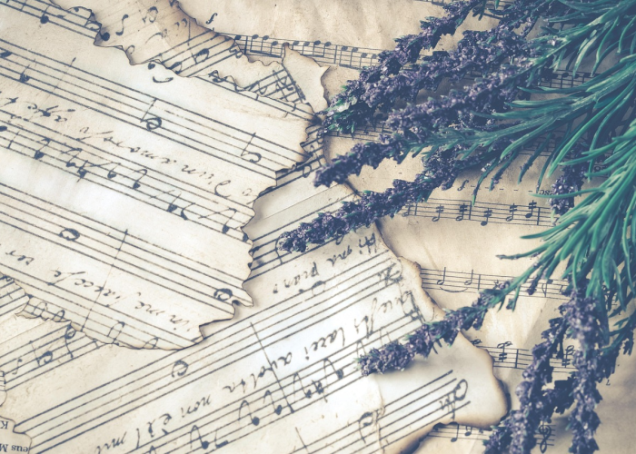 河北石家庄一村调整为高风险地区·河北石家庄一村镇为全国唯一高风险地区