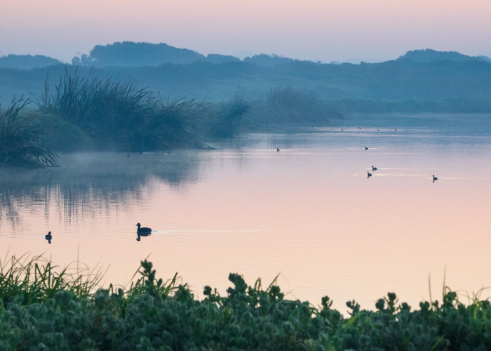 重庆市限行查询(重庆市限行信息)