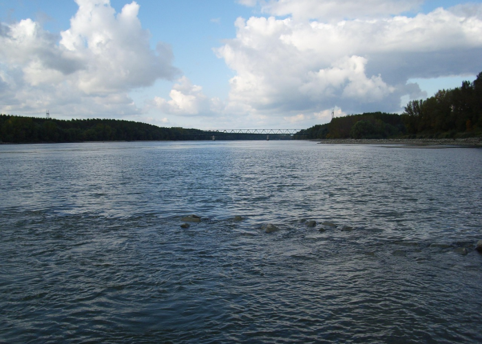 ◻️ 廊坊最新疫情,廊坊疫情最新情况播报 ◻️ 廊坊最新疫情,廊坊疫情最新情况播报