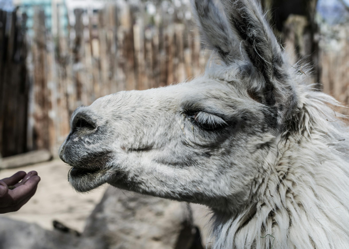 韩国表示 Coupang必须在数据泄露调查中解决安全漏洞问题