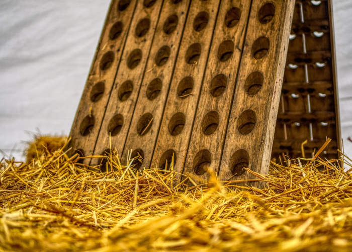 出入西安最新通知今天出入西安防疫政策 🔻 出入西安最新通知今天出入西安防疫政策 🔻