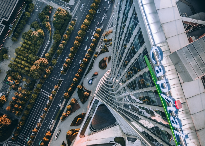 最新确诊病例数据(最新确诊病例)