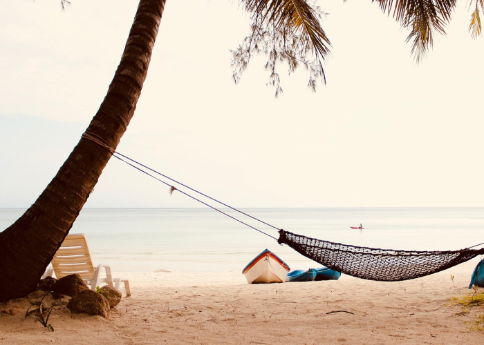 河北新冠肺炎最新消息河北新冠肺炎最新动态