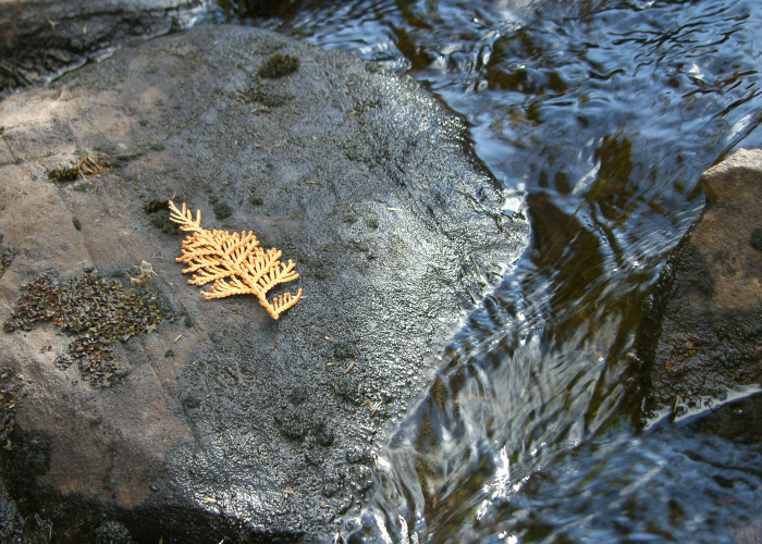浙江义乌新增33例新冠阳性,浙江义乌最新确诊病例 🔺