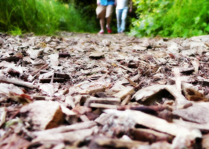 五一小长假还能跨省出行吗,五一小长假还能跨省出行吗现在