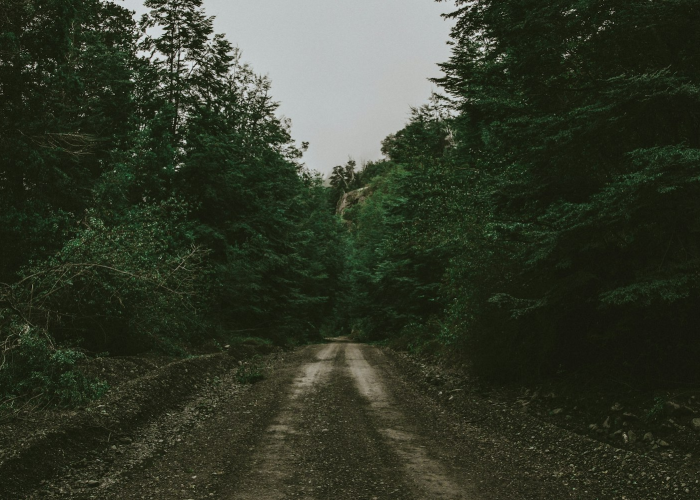 廊坊解封最新消息,河北省廊坊市解封了吗