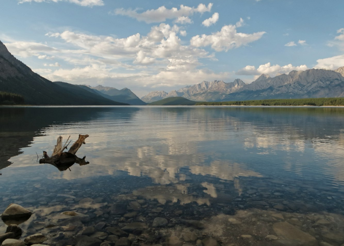 十一高速免费么›高速跑到一半开始免费怎么算