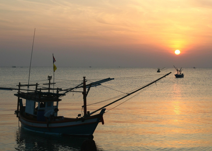 马斯克再发警告：若没有AI和机器人 美国1000%会走向破产