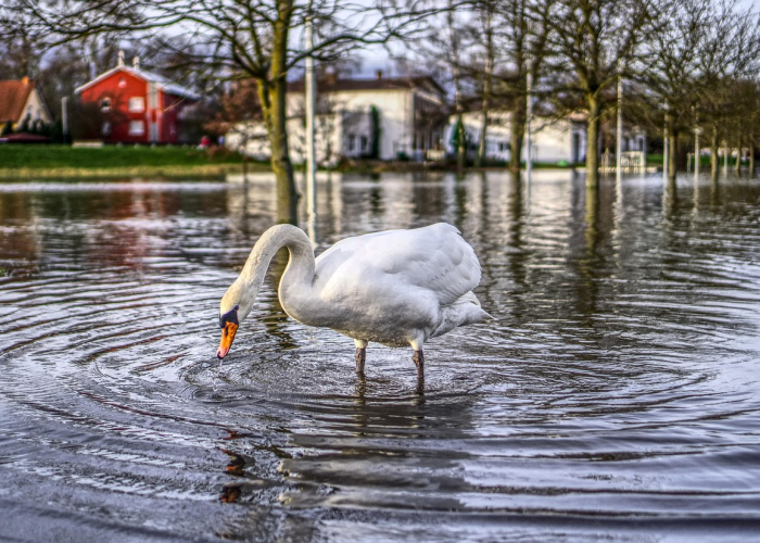 31省区市新增27例31省区市新增1