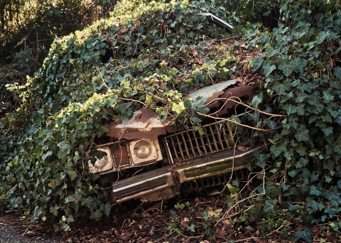 西安疫情最新情况通报(西安疫情最新消息通知)