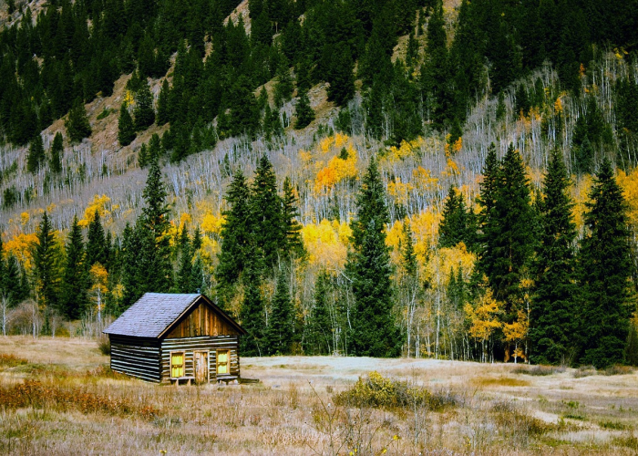 合肥疫情最新数据消息,合肥疫情最新数据统计