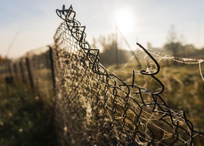 中粮资本:公司是央企控股上市公司,并非地方国资委上市公司 中粮资本:公司是央企控股上市公司,并非地方国资委上市公司