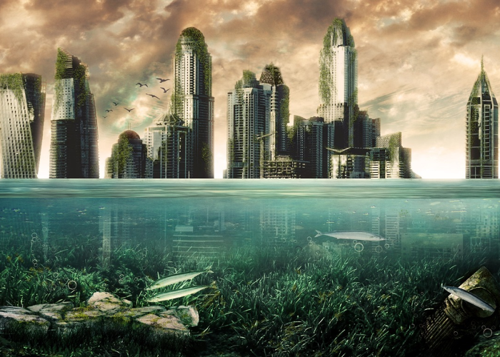 ☀️ 包含上海新增本土确诊4例的词条