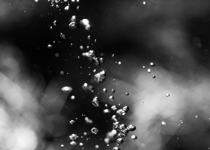 宿舍新闻联播 → 宿舍新闻联播台词