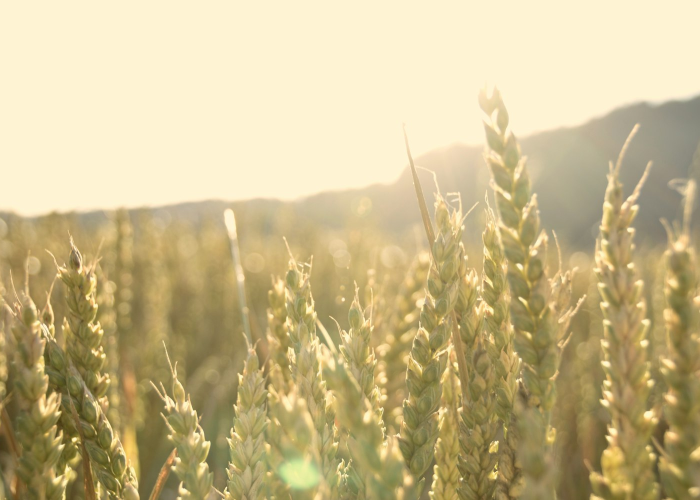 🎐 新疆新增本土89例 → 新疆新增本土病例20例