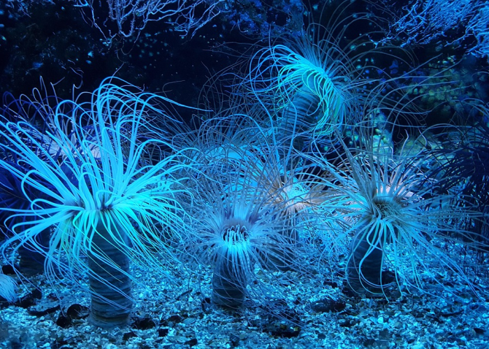 🔺 北仑疫情最新消息今天北仑疫情最新消息今天新增