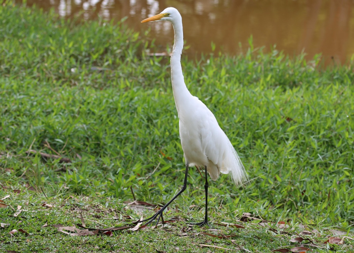 内蒙古新增9例本土病例内蒙古新增1例本土病