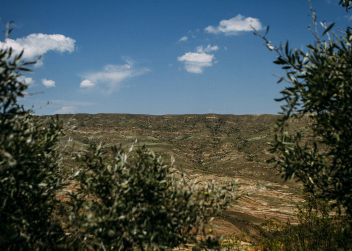 现在疫情最严重的是哪几个地方(现在疫情最严重的有几个地方城市)