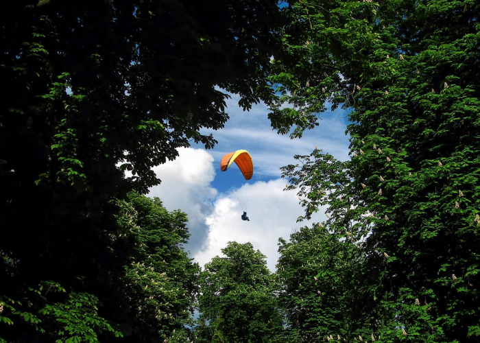 31省新增本土110例31省新增本土病例13例