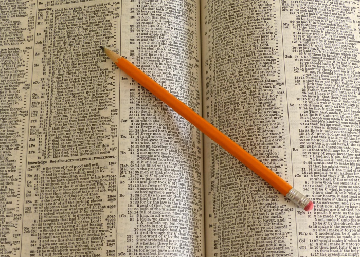 福特汽车季度盈利不及预期，首席执行官认为2026年将更强劲