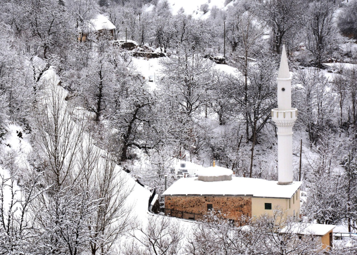 徐州睢宁疫情最新消息,徐州睢宁新闻头条最新消息
