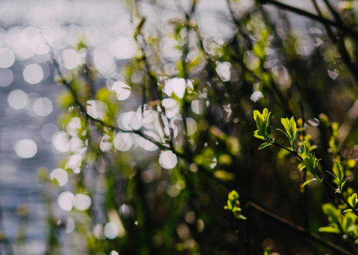 清明节高速公路免费情况(清明节高速公路免费时间) 清明节高速公路免费情况(清明节高速公路免费时间)