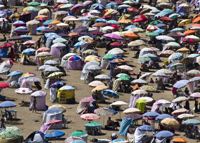 🔺 上海市内景区将不再查核酸：上海市内景区将不再查核酸吗