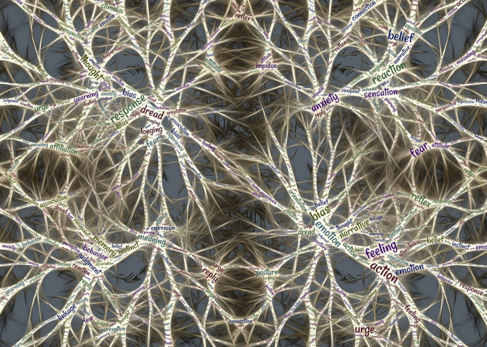 青岛城阳区新增病例(青岛城阳区2例确诊病例轨迹公布)