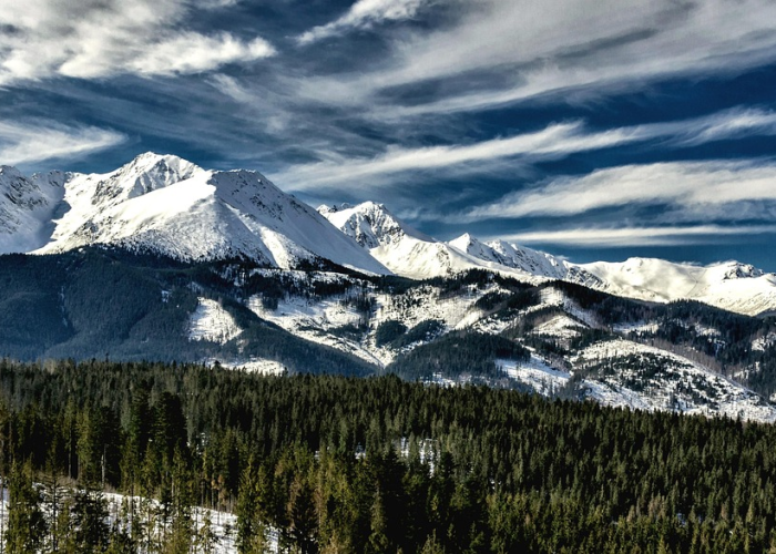 31省份新增本土确诊40例31省份新增本土确诊30例