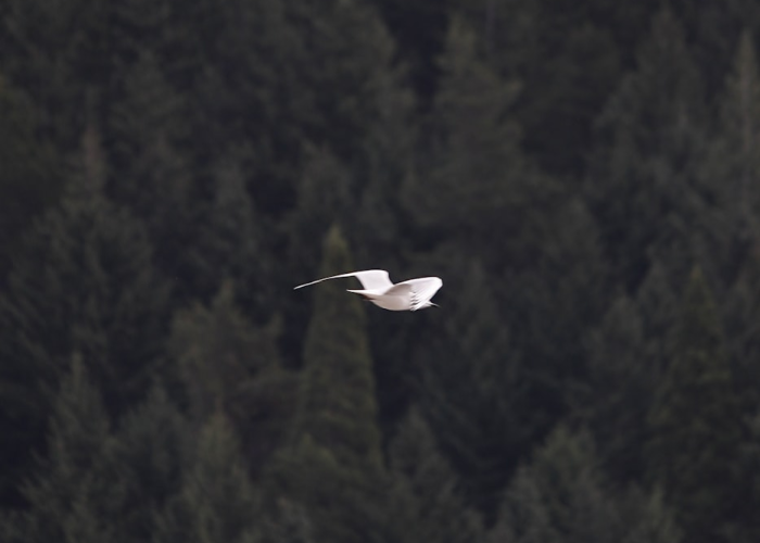 辽宁朝阳疫情,辽宁朝阳疫情什么时间封城了