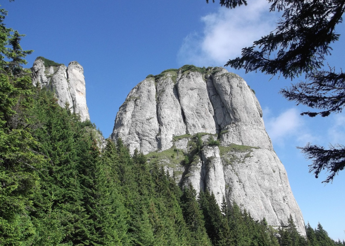 绵阳疫情封城是什么时间开始的(绵阳疫情)