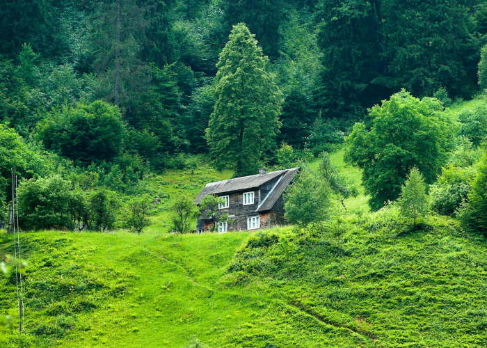 ↖️ 31省区市新增71例本土确诊,31省区市新增62例本土确 ↖️ 31省区市新增71例本土确诊,31省区市新增62例本土确