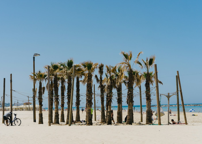 天津建发拟折让15.0%配股 最多净筹约2920万港元 🕒