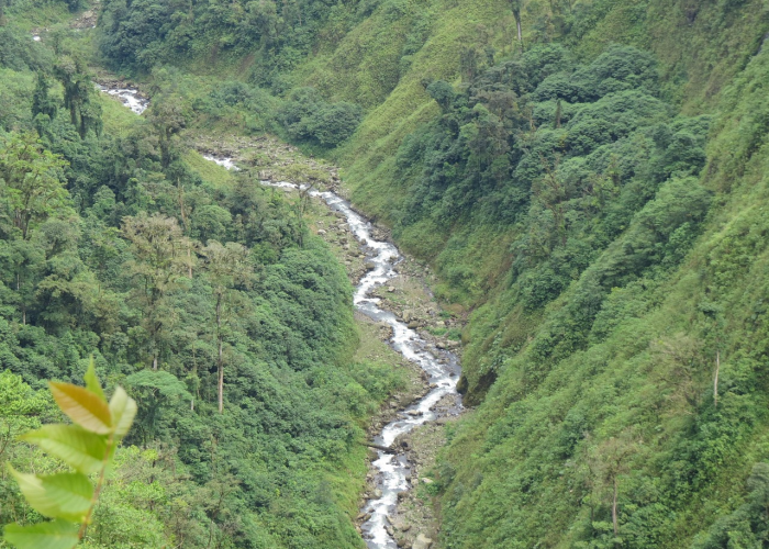 嘉年华多少钱›嘉年华多少钱一个主播能拿多少 嘉年华多少钱›嘉年华多少钱一个主播能拿多少