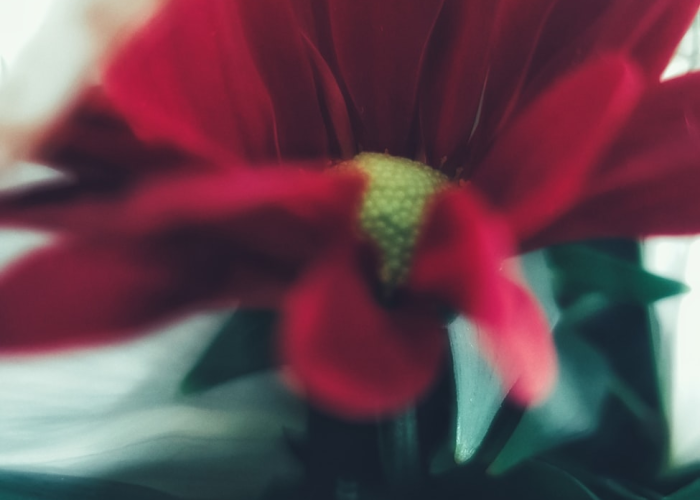 安徽新增一例无症状感染者(安徽昨增本土无症状9例)