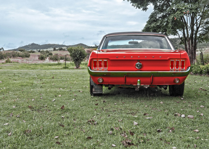 德尔塔毒株的名字代表着什么德尔塔毒株是地名吗 德尔塔毒株的名字代表着什么德尔塔毒株是地名吗