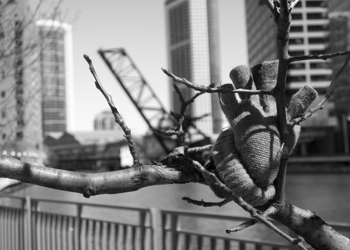 CA43333(ca4333) CA43333(ca4333)