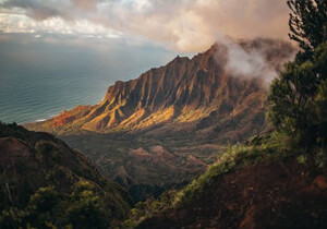 分享一下:如今网站出款端口维护不能到账怎么办?